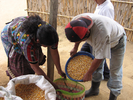 Alimentación, Guatemala