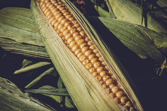 seguridad alimentaria