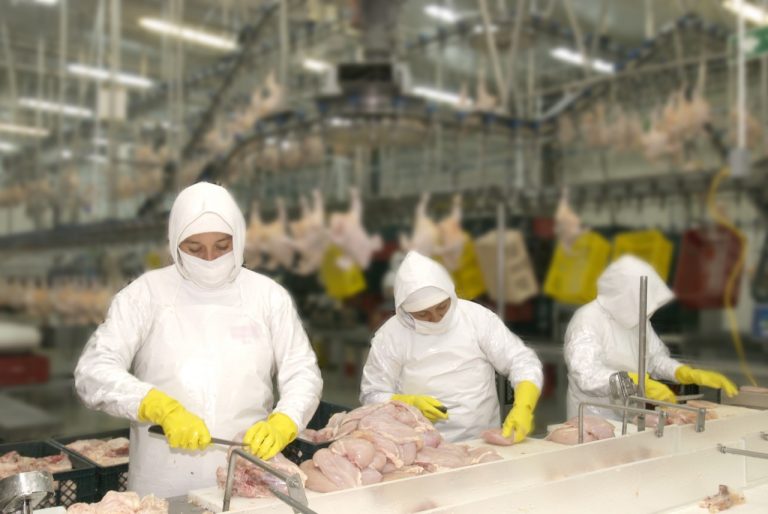 CMI es reconocida en la categoría de Perecederos