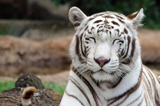 Zoológico la Aurora