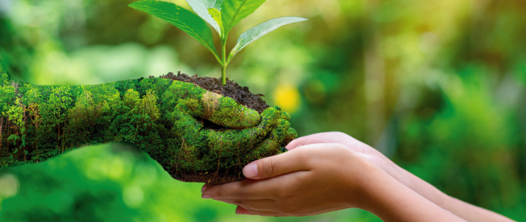 Día Mundial del Medio Ambiente en Guatemala