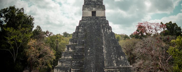 vista de una pirámide en Tikal