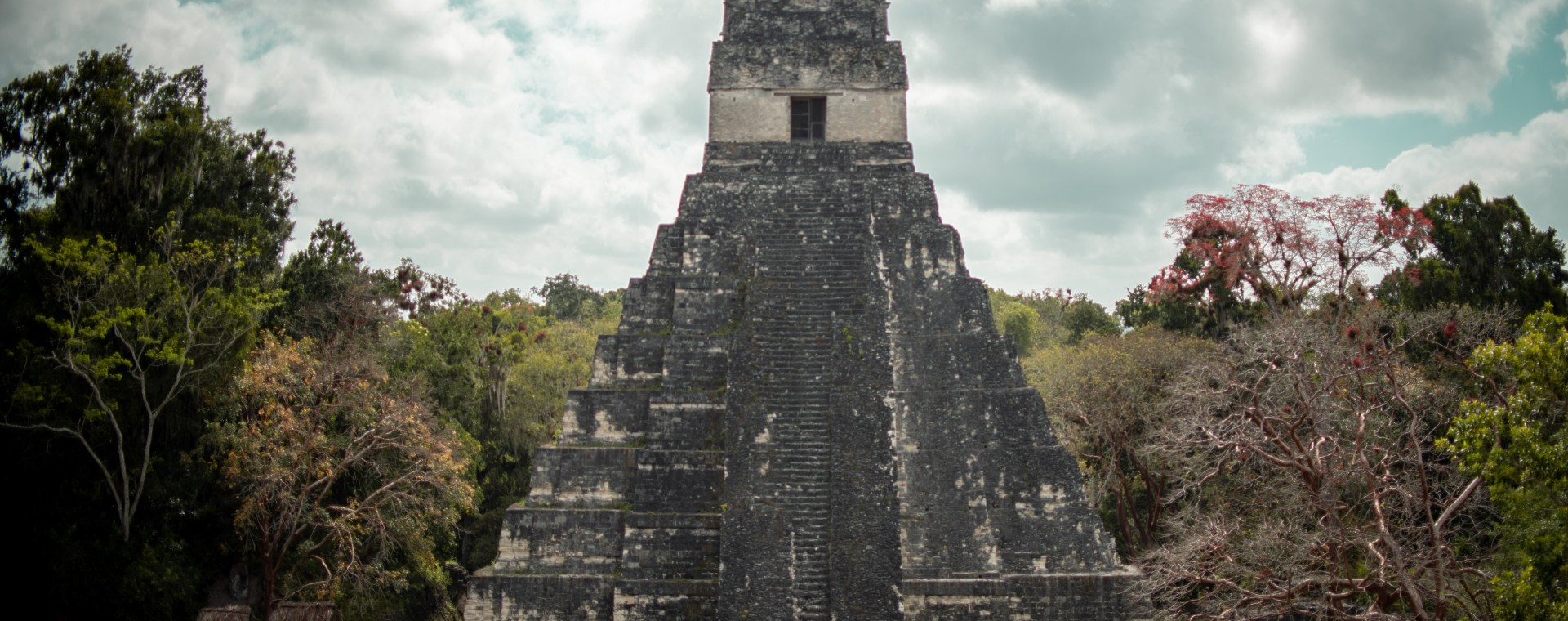 vista de una pirámide en Tikal