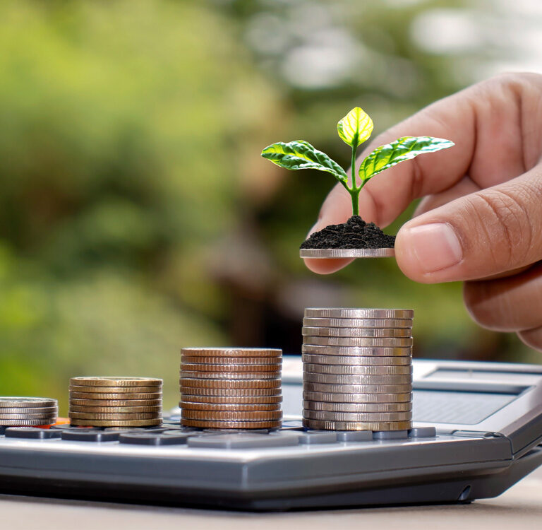 Inversiones sostenibles: Invierte en el futuro