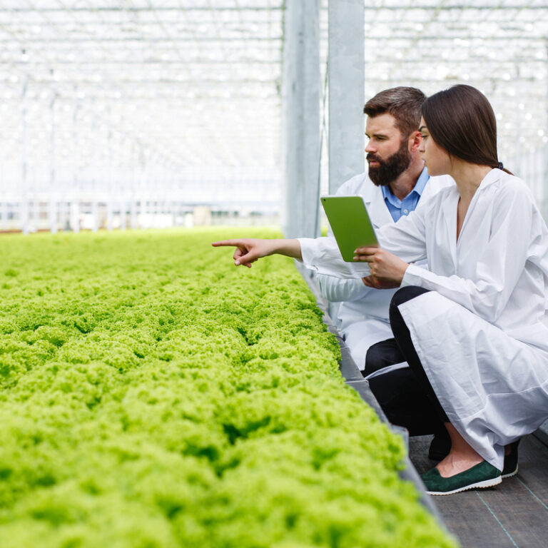 Tendencias para el futuro de la agricultura en 2024