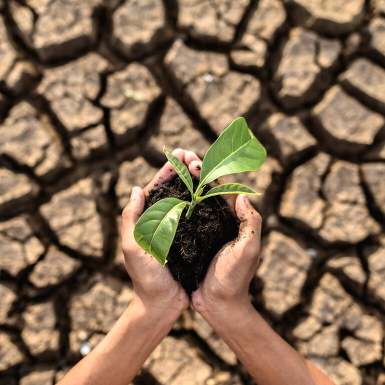 Cambio climático
