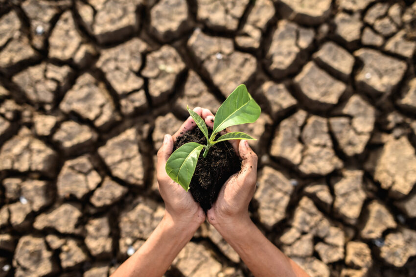 Cambio climático