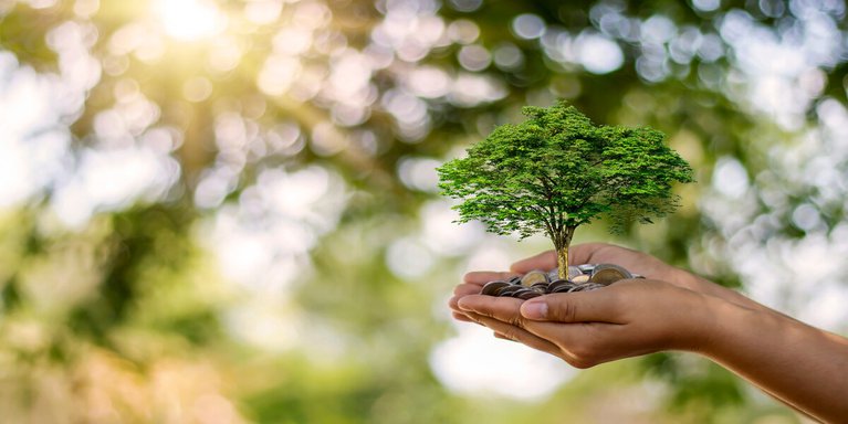 sustentabilidad