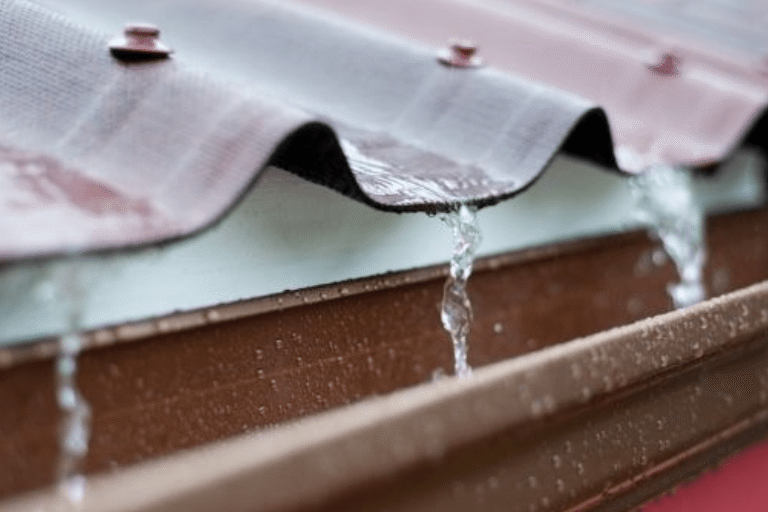 agua-de-lluvia