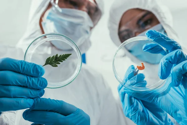 Biotecnología en Guatemala y en el mundo