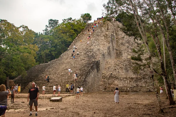 Tikal en Guatemala