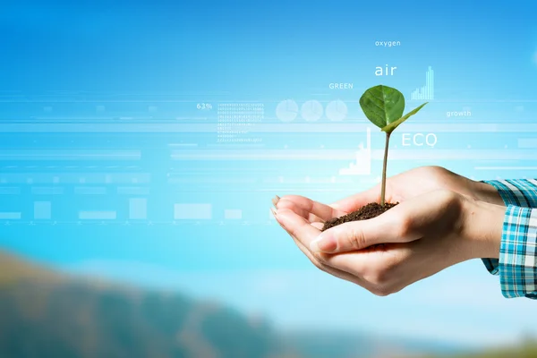 Instrumentos ambientales más ágiles para acelerar inversión sostenible