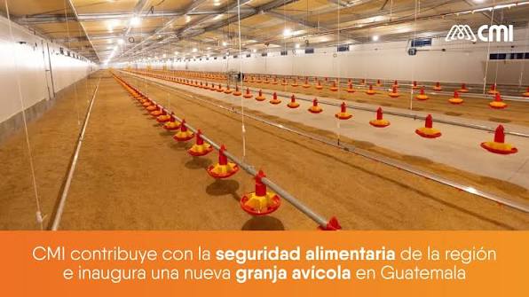 industria avícola