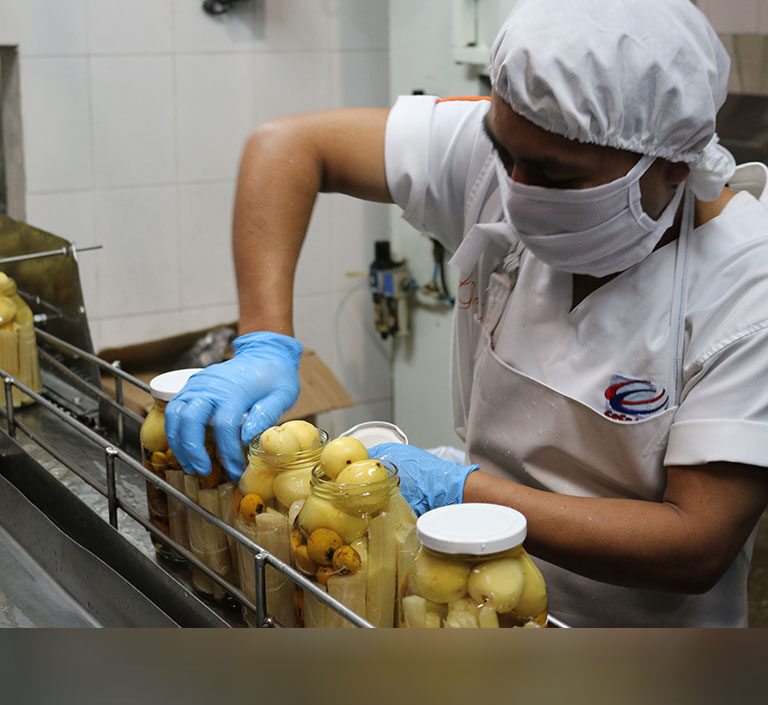 Sectores industriales que más empleo generan en Guatemala
