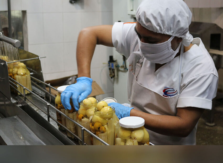Sectores industriales que más empleo generan en Guatemala